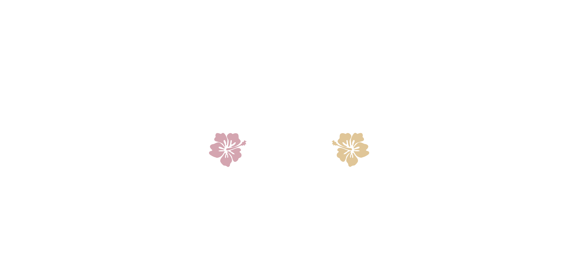 アクティビティ